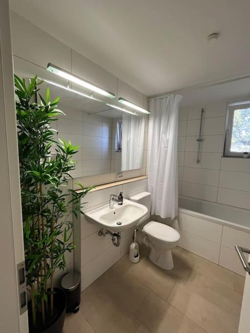City Appartement Direkt Am Schloss! คาร์ลสรูเฮอ ภายนอก รูปภาพ