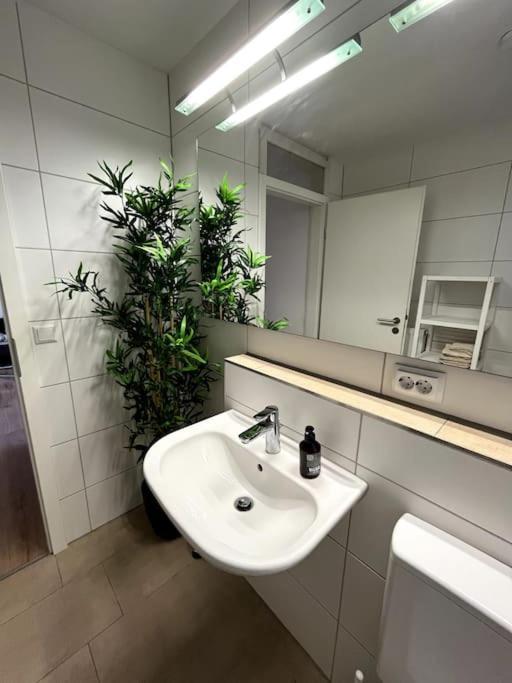 City Appartement Direkt Am Schloss! คาร์ลสรูเฮอ ภายนอก รูปภาพ