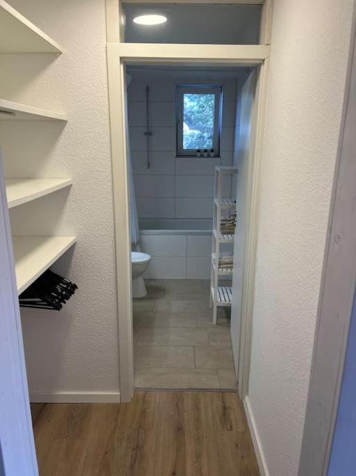 City Appartement Direkt Am Schloss! คาร์ลสรูเฮอ ภายนอก รูปภาพ